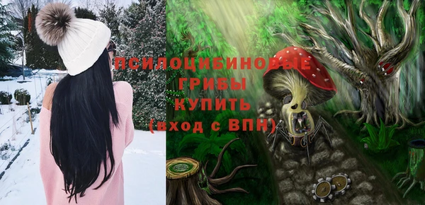 ГАЛЛЮЦИНОГЕННЫЕ ГРИБЫ Михайловка