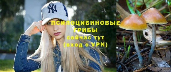 ГАЛЛЮЦИНОГЕННЫЕ ГРИБЫ Михайловка