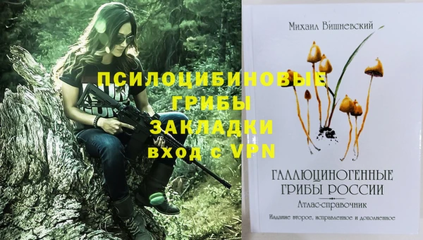 СК Медногорск