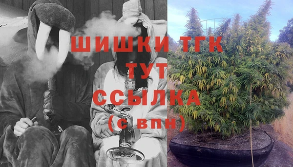 СК Медногорск