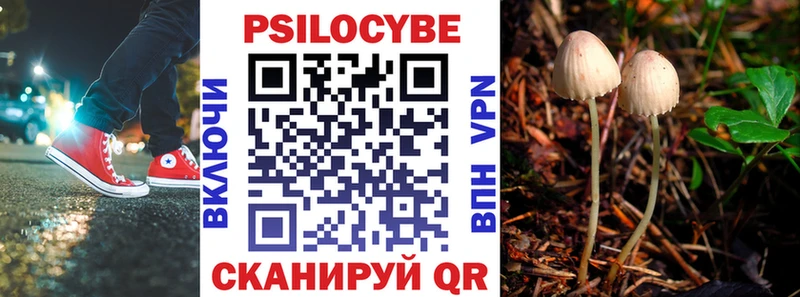 цена наркотик Черноголовка blacksprut онион Галлюциногенные грибы Psilocybe