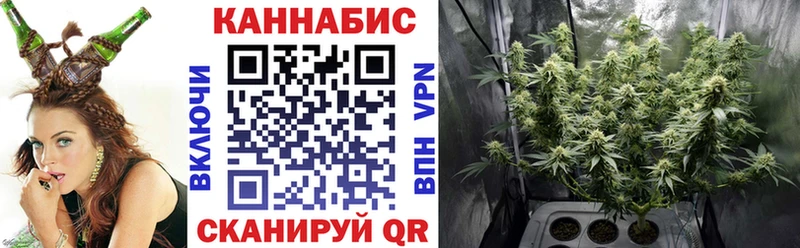 Бошки Шишки MAZAR  darknet как зайти  Черноголовка 